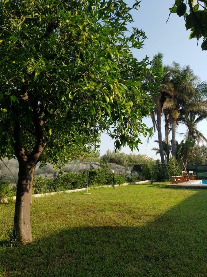 דירות פלורידיה Casa Vacanza Le Tre Palme מראה חיצוני תמונה