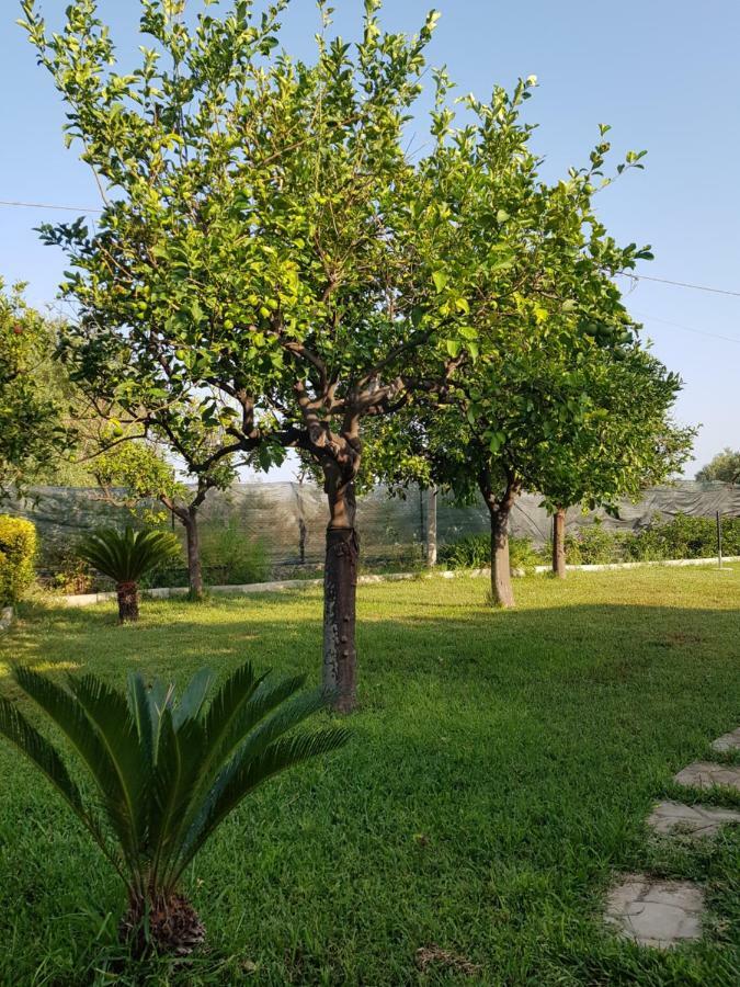 דירות פלורידיה Casa Vacanza Le Tre Palme מראה חיצוני תמונה